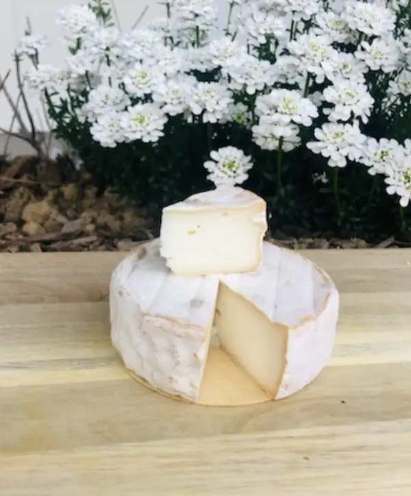 la-tomme-de-chevre-lachevreriedeslandes