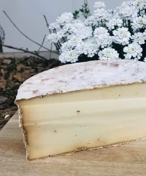 tomme-de-saison-lachevreriedeslandes
